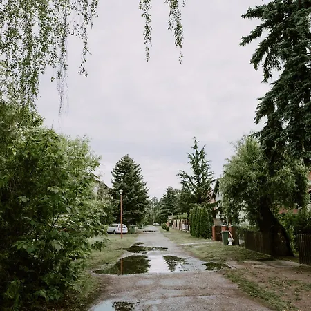 Buba Ii
